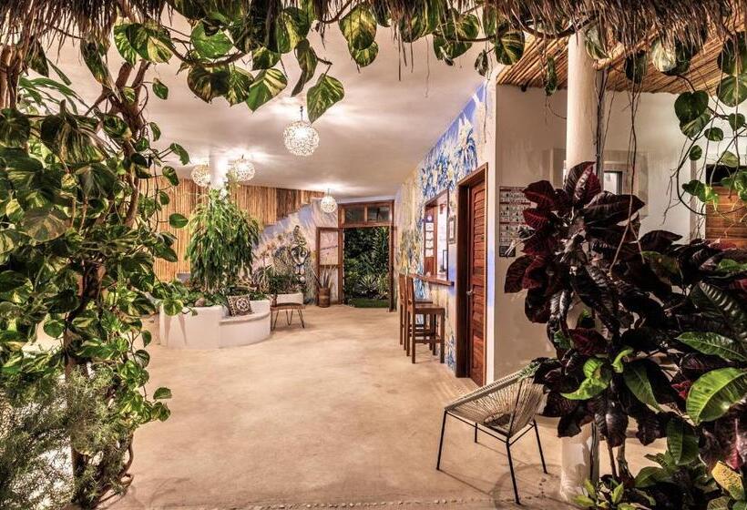 Отель Aires Bacalar