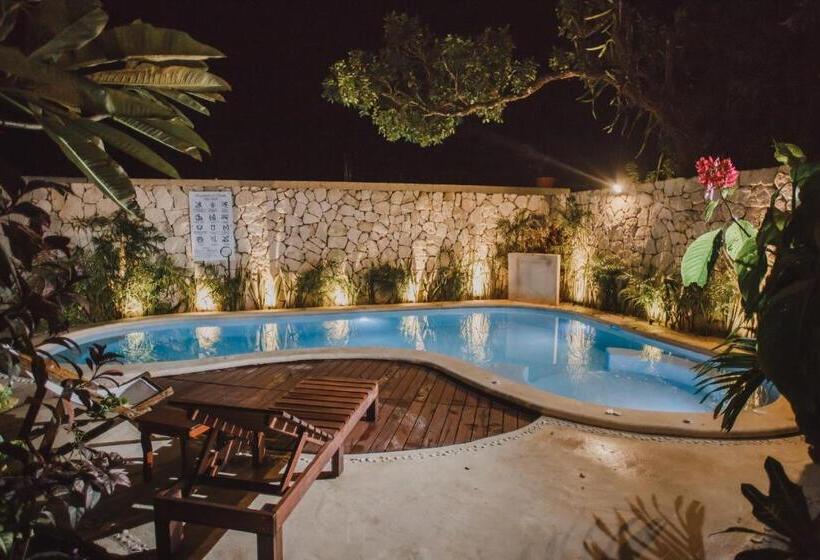 Отель Aires Bacalar