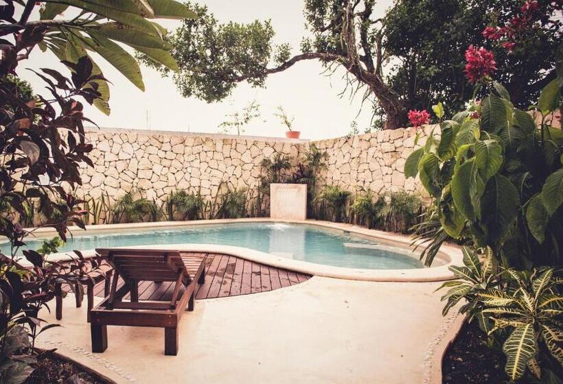 Отель Aires Bacalar