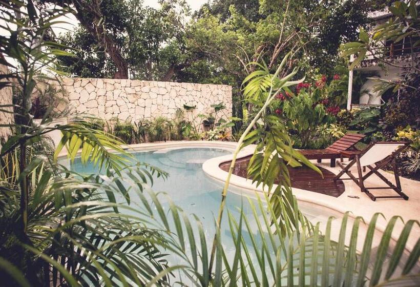 Отель Aires Bacalar