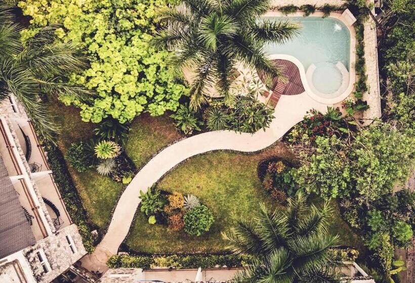 Отель Aires Bacalar