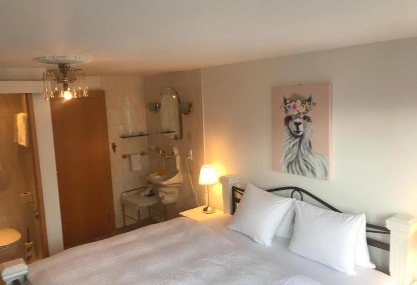 ホテル Am Ring Altstadt