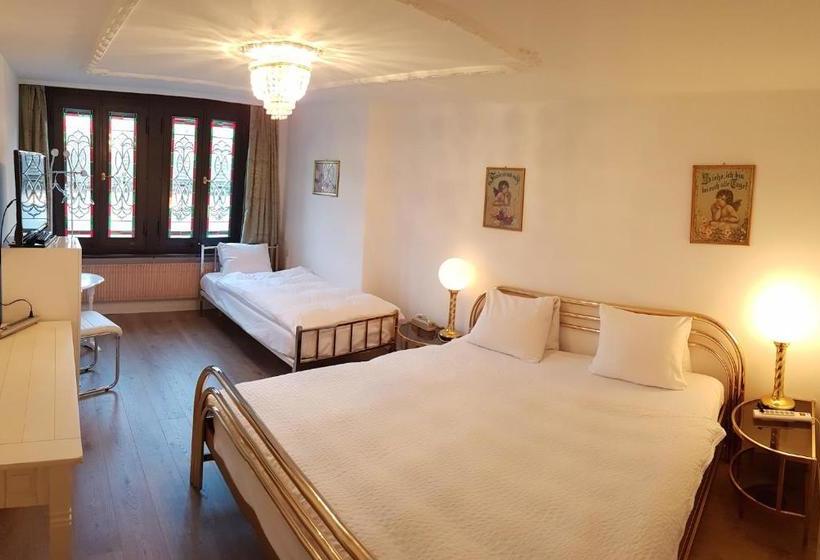 ホテル Am Ring Altstadt