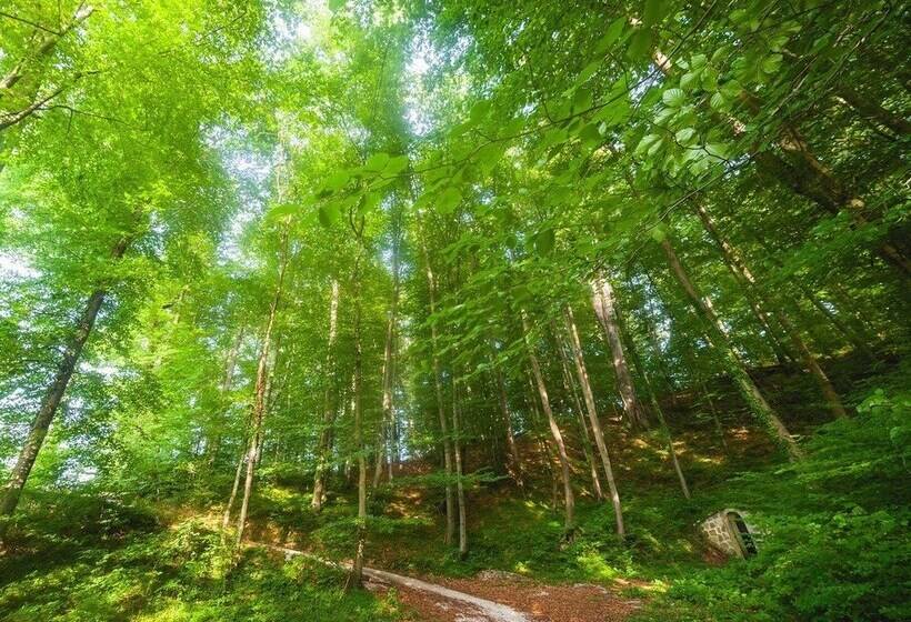 هتل Atlantida Boutique