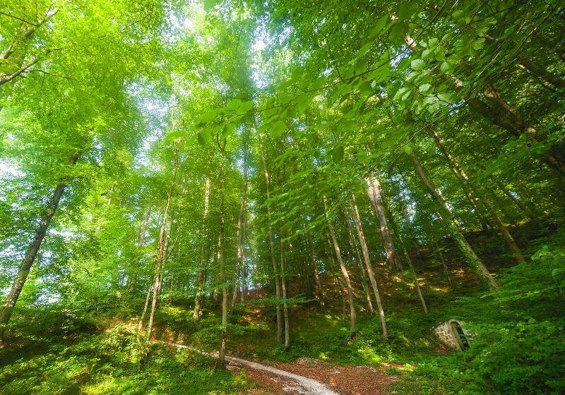 هتل Atlantida Boutique