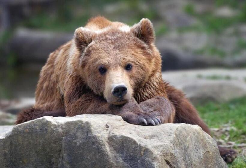 فندق B&b Langenberg