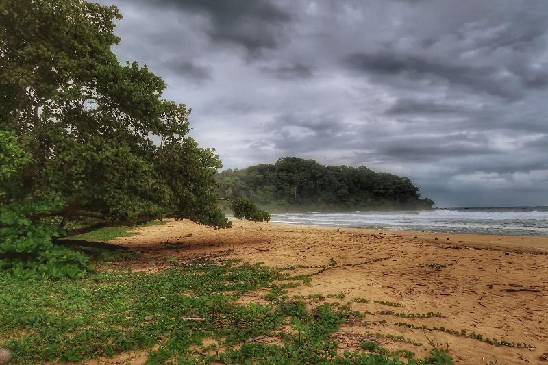 Отель Caribbean View