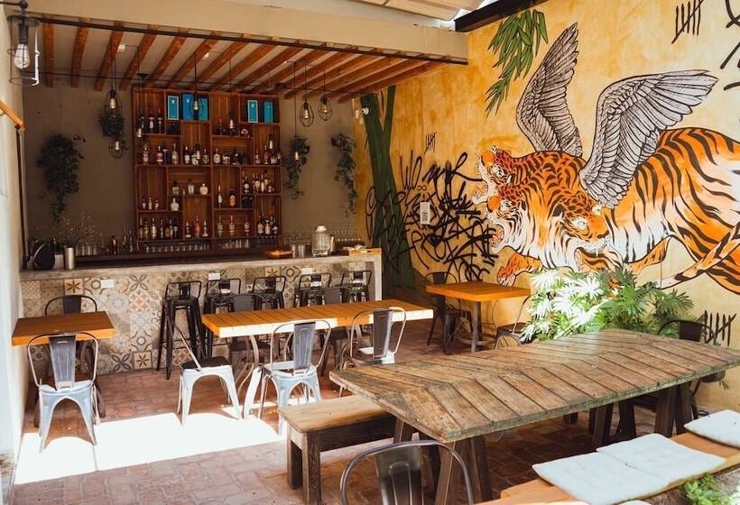 酒店 Clandestino  Recreo  Adults Only