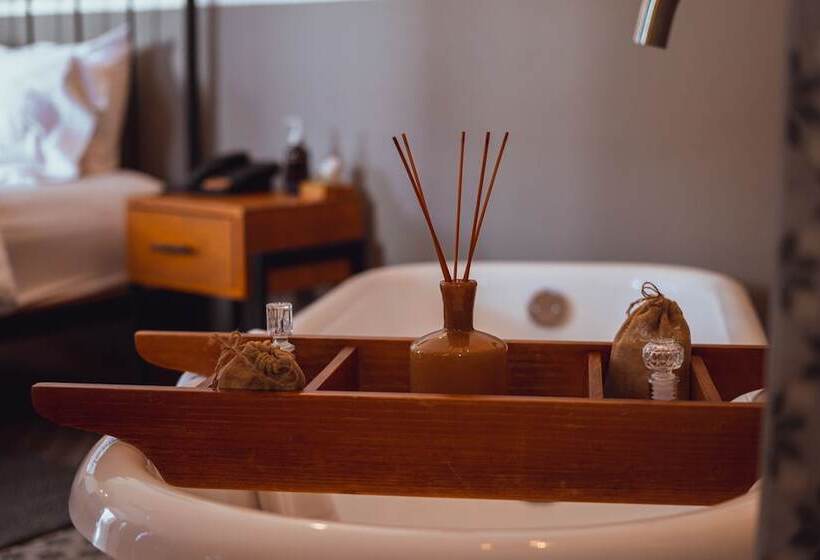 酒店 Clandestino  Recreo  Adults Only