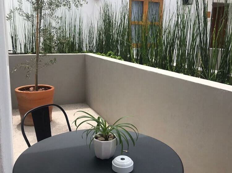 酒店 Clandestino  Recreo  Adults Only