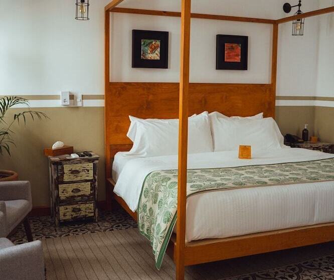 酒店 Clandestino  Recreo  Adults Only