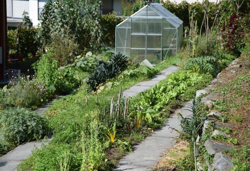 Eco Hotel Cristallina