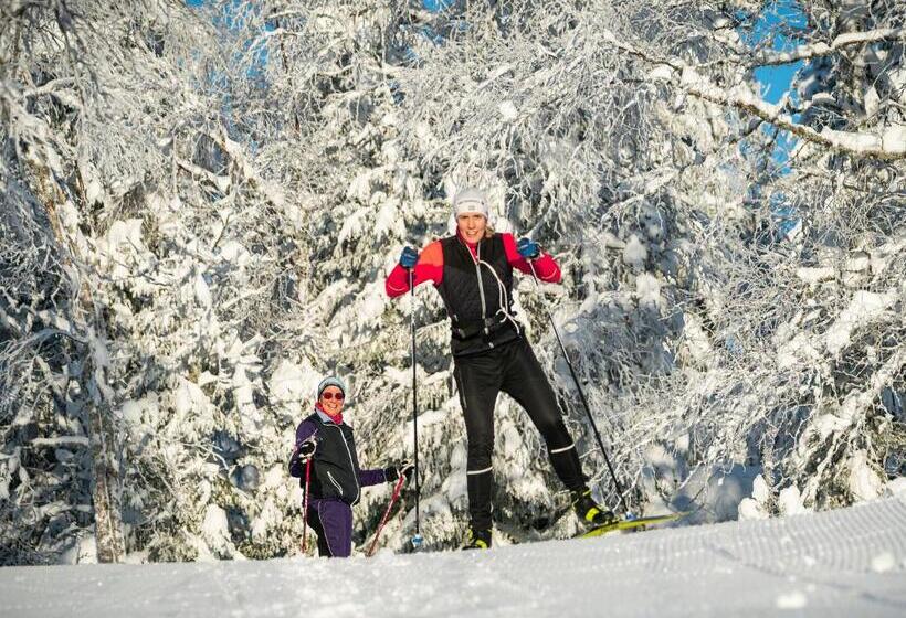 בית מלון כפרי Hassela Ski Resort