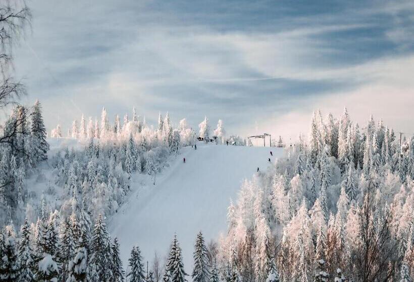 בית מלון כפרי Hassela Ski Resort