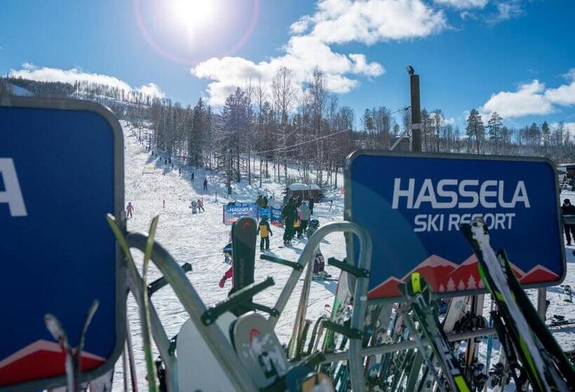 בית מלון כפרי Hassela Ski Resort