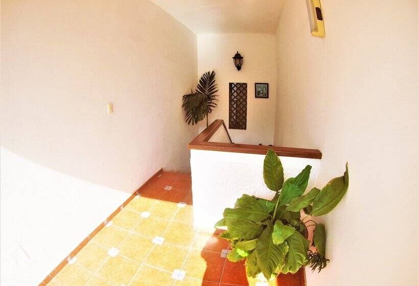 هتل Hospedajes Del Rey