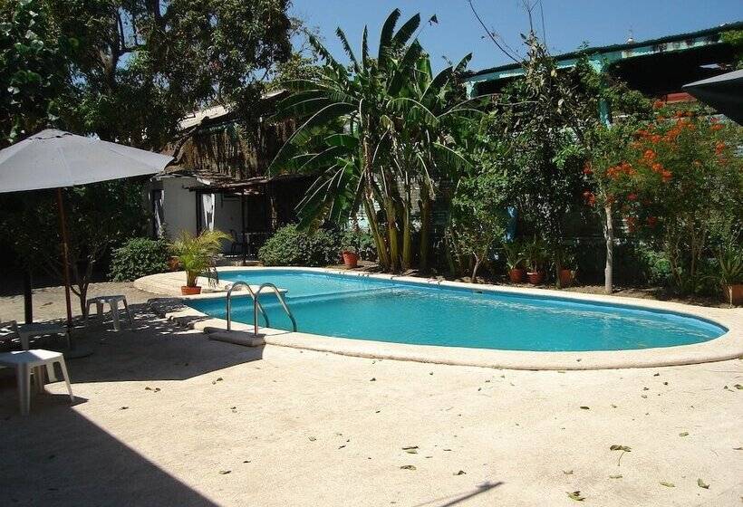 هتل Hospedajes Del Rey