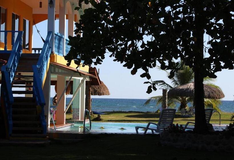 ホテル Las Lajas Beach Resort