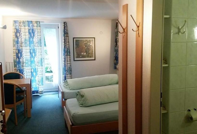 בית מלון כפרי Löwen