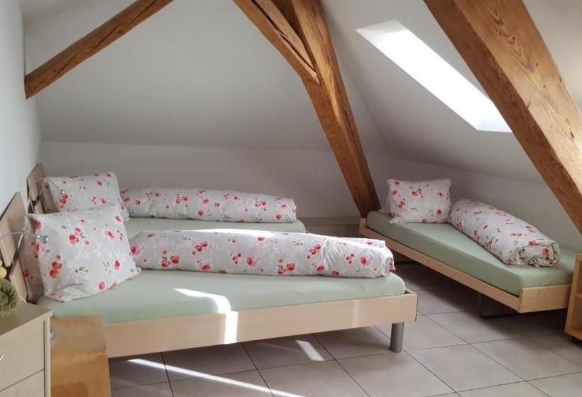 בית מלון כפרי Löwen