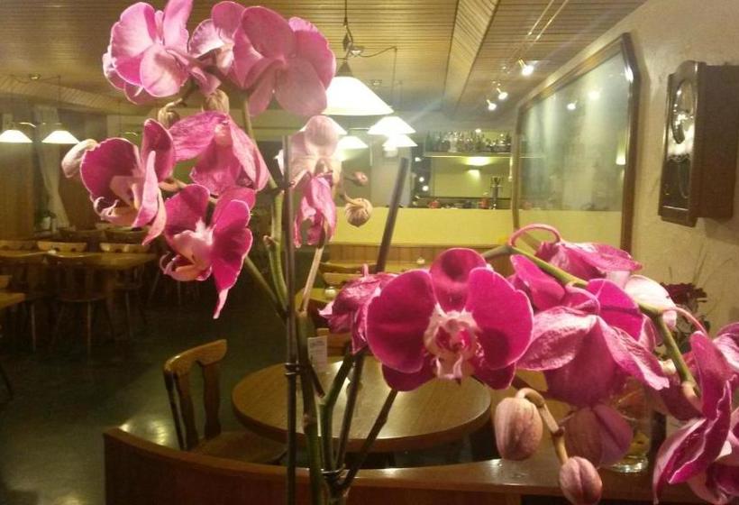 בית מלון כפרי Löwen