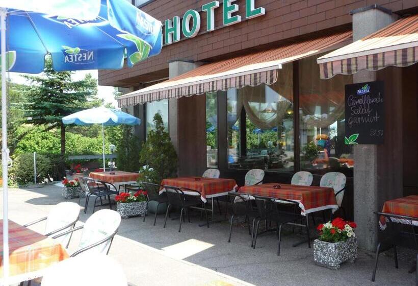 בית מלון כפרי Panorama Windegg