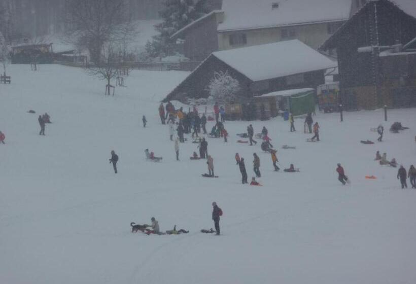 בית מלון כפרי Panorama Windegg