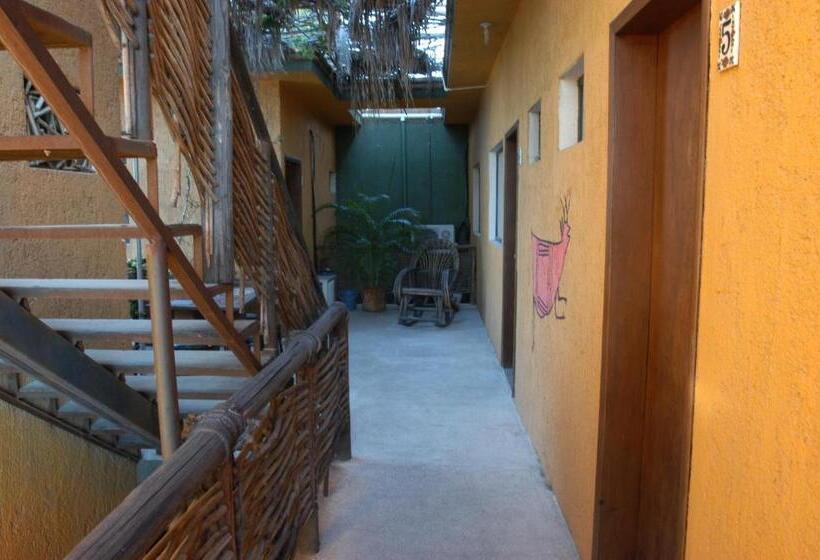 ホテル Pension Baja Paradise