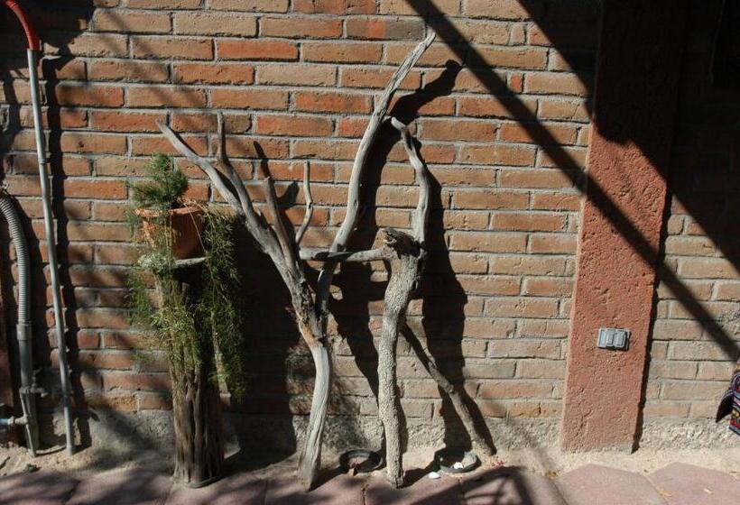 ホテル Pension Baja Paradise