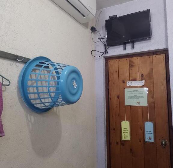 ホテル Pension Baja Paradise