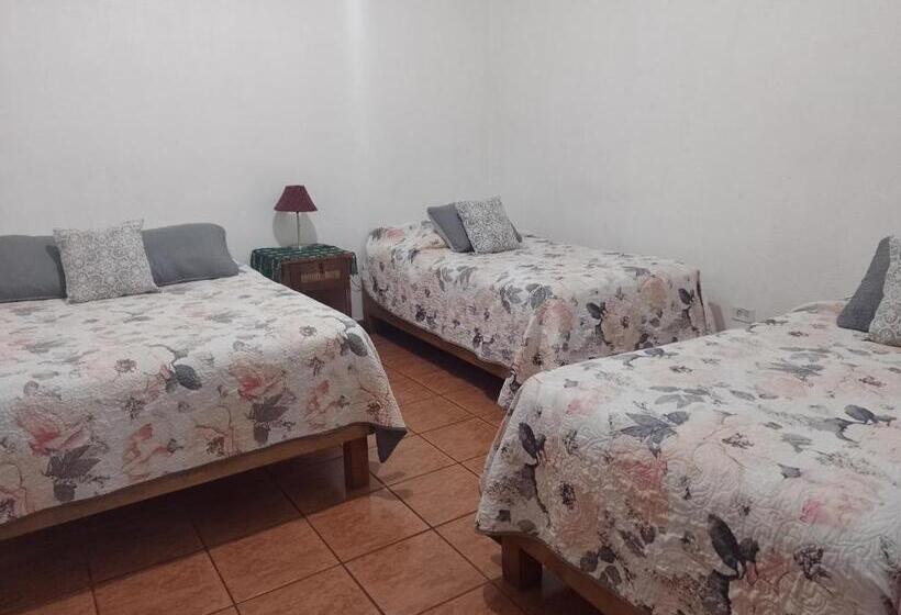 ホテル Pension Baja Paradise