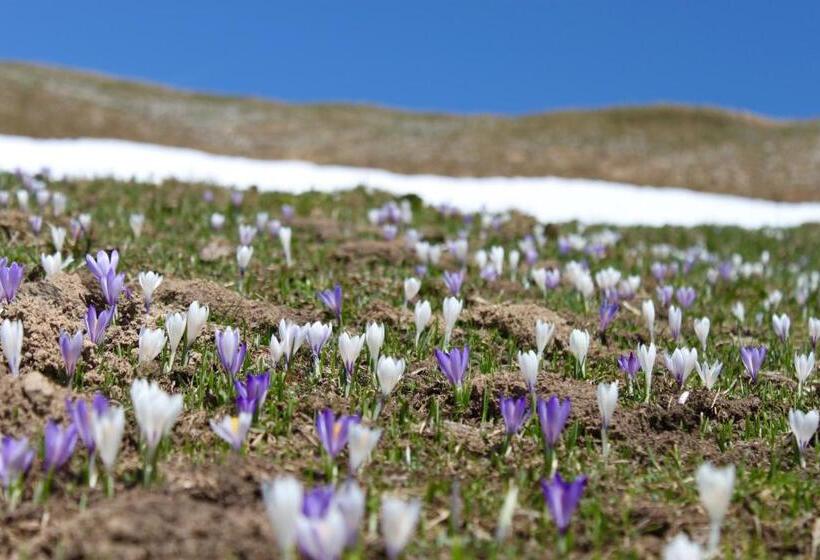 ホテル Pension Laresch