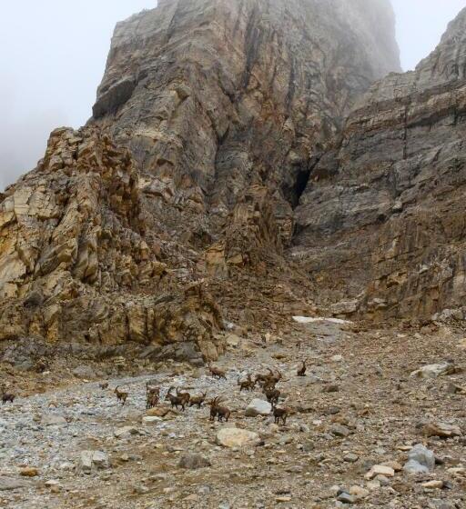 ホテル Pension Laresch