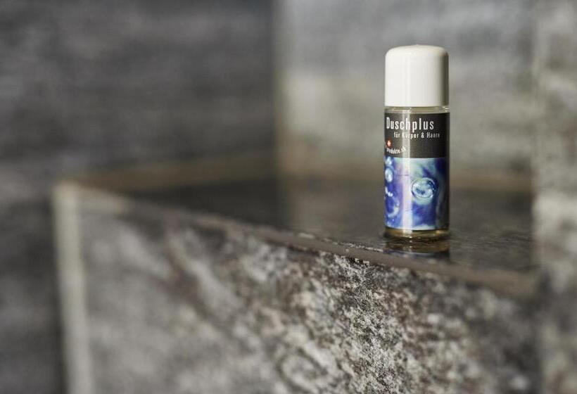 ホテル Pension Laresch