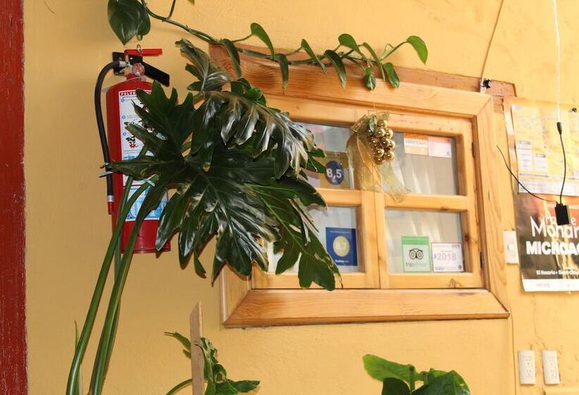 Отель Plaza Mayor