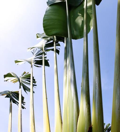 酒店 Ribera Del Mar