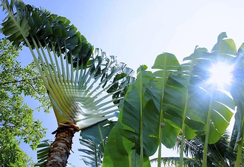 酒店 Ribera Del Mar