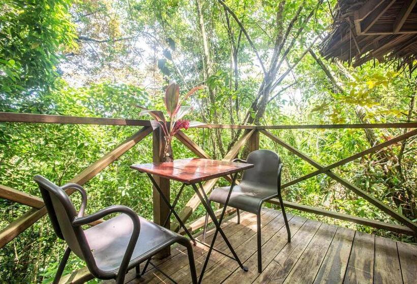 Отель Socialtel Red Frog