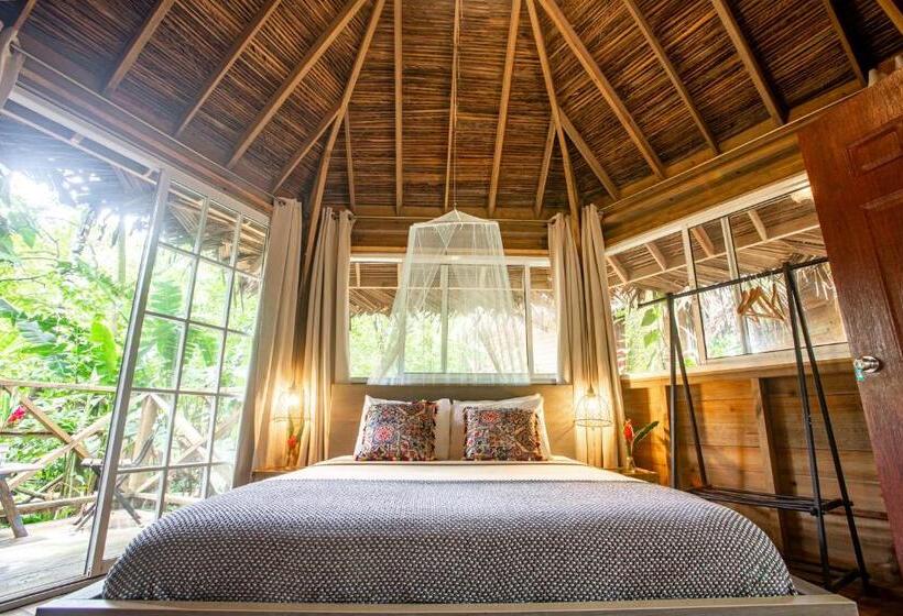 Отель Socialtel Red Frog