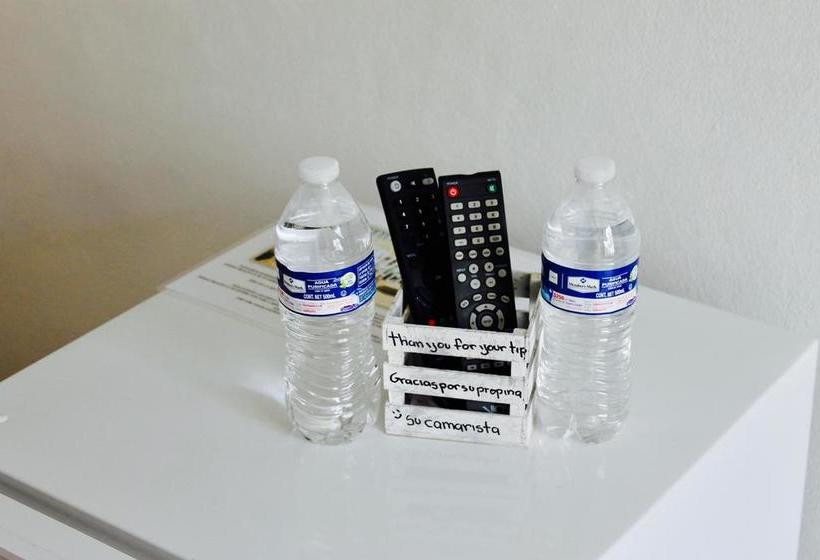 Suite 24 Boutique By Xperience S