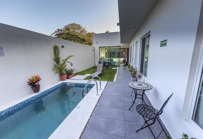 Suite 24 Boutique By Xperience S