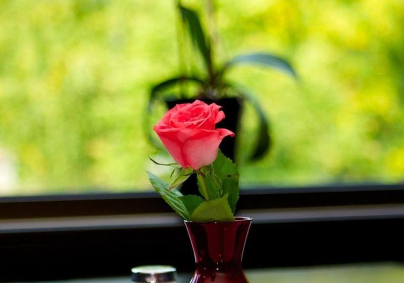 Stopet Hotell & Värdshus