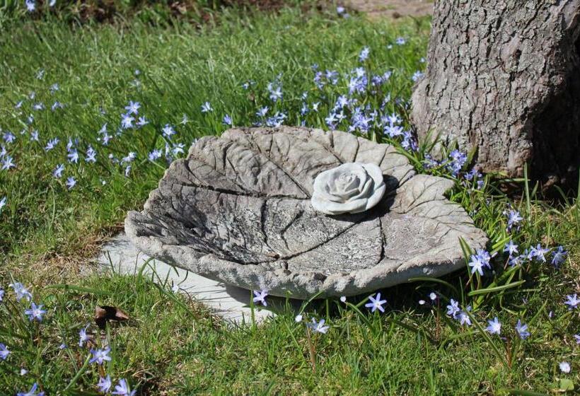 בית מלון כפרי Villa Ingrid