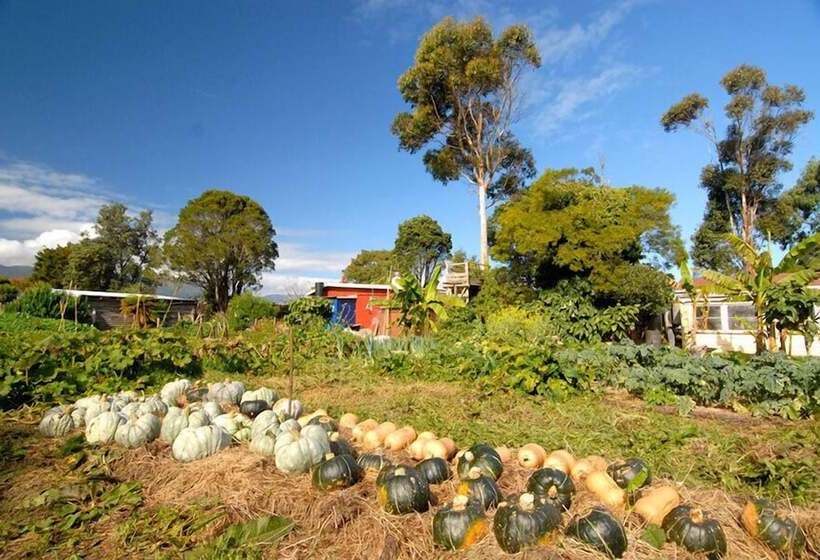 מוטל Karamea Farm Baches