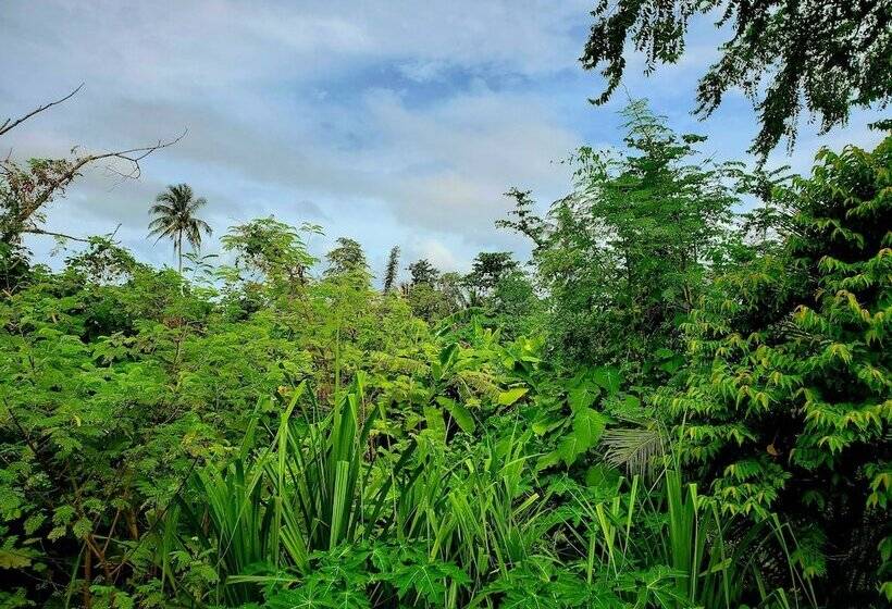 Patrick's On The Beach Resort