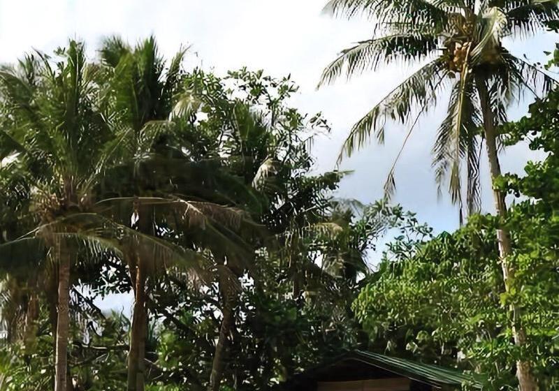 Patrick's On The Beach Resort