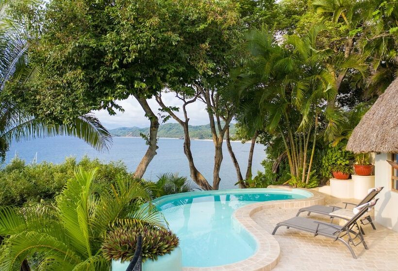 리조트 Amor Boutique