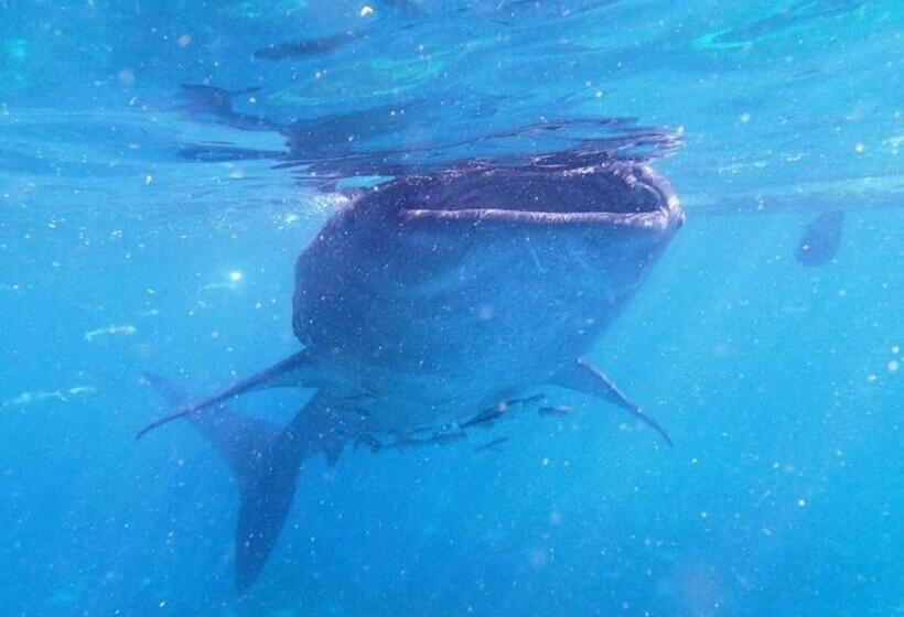 Курорт Luzmin Bh Beachfront Cottages