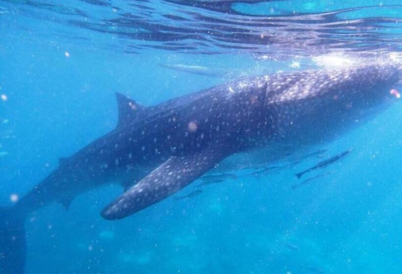 Курорт Luzmin Bh Beachfront Cottages