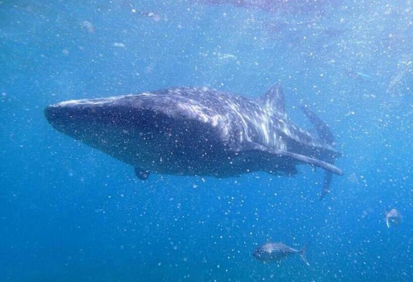 Курорт Luzmin Bh Beachfront Cottages